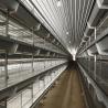 Buy cheap 24.5in Width Egg Laying Chicken Cage 10 Birds / Cage Hopper Feeding from wholesalers