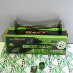 BAJAJ Motorcycle Engine Valve Spare Parts Motorbike Valve Standard Size