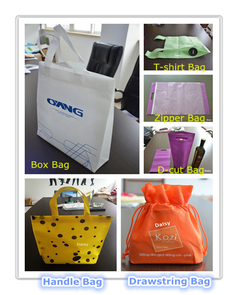 Non Woven Bag Printing Machine Price