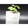 Buy cheap Durable Non Woven Garden Weed Control Fabric for Plant Protection / Agriculture Covering from wholesalers