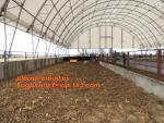 agriculture anti insect net on roll insect proof mesh for greenhouse,Greenhouse