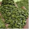 Buy cheap Best Quality Bulk Cheapest Green Peeling Pumpkin Seeds hot selling on Amazon from wholesalers