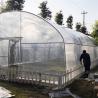 Buy cheap High Tunnel Plastic Film Single-Span Greenhouse Poly Tunnel 8m For Vegetable from wholesalers