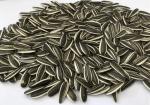 Wholesale Chinese Non GMO High Quality Good Price Roasted Sunflower Kernels