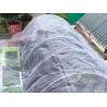Buy cheap High Density Agriculture Insect Net 50gsm Plant Cover Net 60mesh White Vegetable from wholesalers