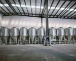 1000L stainless steel Beer Fermentation Tank beer fermenter 2.63m high
