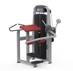 Professional Strength Training Gym Equipment With High Quality