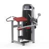Buy cheap Professional Strength Training Gym Equipment With High Quality from wholesalers
