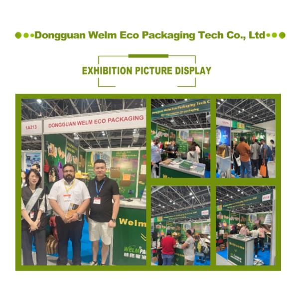 Biodegradable Burger Hamburger French Fries Boxes Package Customized Shape