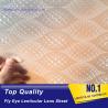 Buy cheap PLASTIC LENTICULAR latest flying 3d lenses fly-eye plastic sheet film with 3d 360 degree from wholesalers