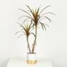 Buy cheap Red Side Dracaena Artificial Bonsai Tree For Indoor Decoration 38 CM 50 CM 68 CM from wholesalers