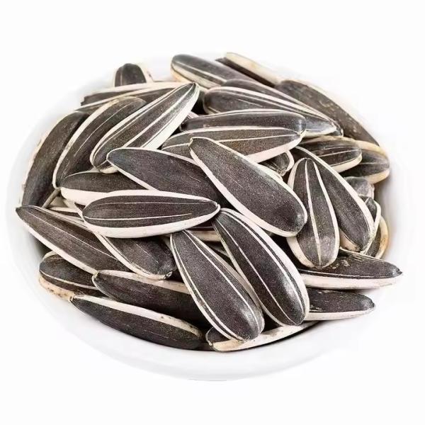 Buy cheap Sunflower Seeds T5 The Ultimate Snack for Health-Conscious Consumers from wholesalers