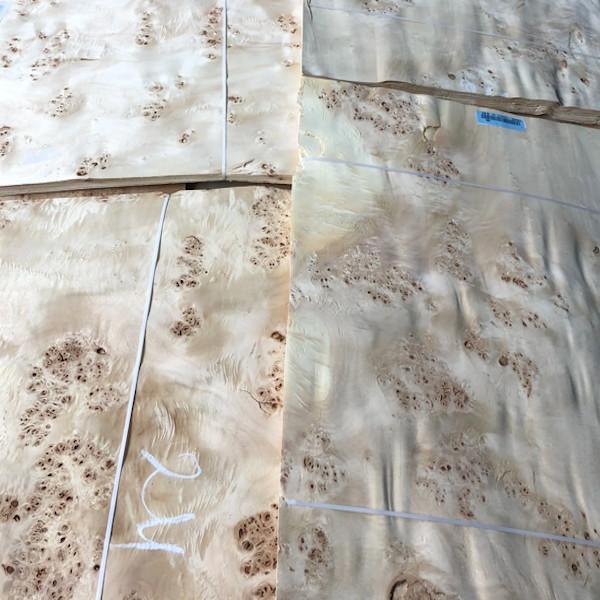 Buy cheap AA Burl Wood Veneer Natural Mappa Sheet Plywood Waterproof Durable from wholesalers