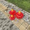 Buy cheap Automatic Small Medium plastic poultry drinker from wholesalers