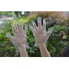 Buy cheap PE Household Daily Oil Proof 0.6g Disposable Hand Gloves from wholesalers