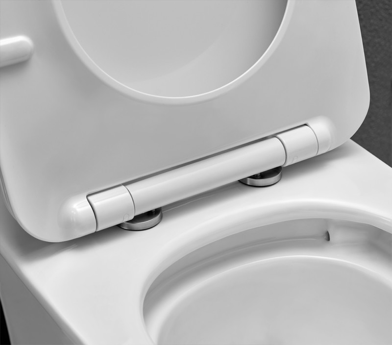 3.5L One Piece Toilets For Bathroom Dual Flush Modern