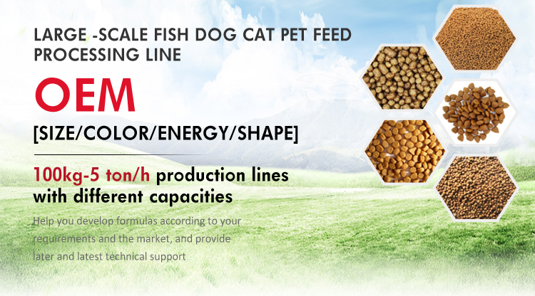 Double Screw Extruder Machine for Food Plant Sinking Fish Feed Pellet Production Line