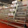Buy cheap Farm Self Feeding Chicken Feeder , Large Automatic Feeding Machine For Poultry from wholesalers