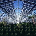 Roof Greenhouse Solar System Photovoltaic Structure Q235 Q345 1.4KN/M2 Max Snow