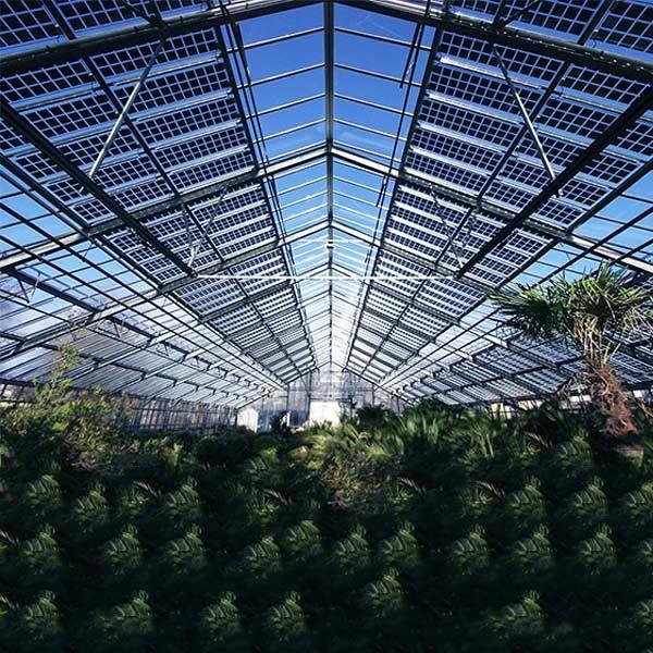 Roof Greenhouse Solar System Photovoltaic Structure Q235 Q345 1.4KN/M2 Max Snow