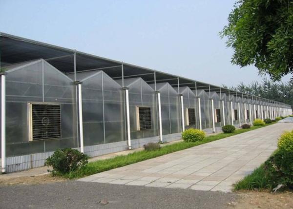 Buy cheap Garden Flowers PC Sheet Greenhouse , Farm Vegetables Flowers Multi Span Greenhouse from wholesalers