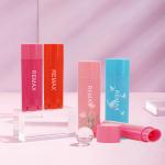 5g Lip Balm Tubes Vibrant Colors Customization Options Travel Friendly Design