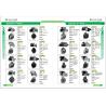 Buy cheap 6.0KW Starter Motor Komatsu PC240-8 3957598 3965282 3965282RX 4934036 5363431 10461776 19026032 8200024 8200078 from wholesalers