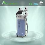 (Hot in Europe) 2015 Advanced Medical CE approved fat freezing cryolipolysis