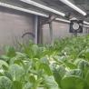 Buy cheap Reefer Container Greenhouse For Leaf Vegetable Smart Container Greenhouse from wholesalers