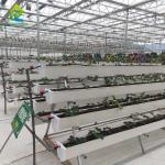 Vertical Soilless Gardening Systems Soilless Hydroponic Growing Equipment