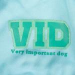 Nice Blue Fashion Stocked 30cm Cute Dog Clothes