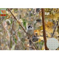Buy cheap Strong Plastic Anti Bird Netting Green Color Hole Open 15 mm 2.5 Meters Wide product