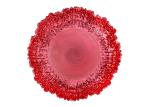 Irregular Edge Flower Electroplated Round Glass Plates 13 Inch