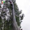 Buy cheap 15M Life Size Animatronic Dinosaur Realistic Ruyangosaurus Dinosaurs For Jurassic Theme Park from wholesalers