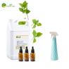 Buy cheap High Concentrated Forest Air Freshener Fragrance For Home Hotel Room from wholesalers