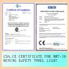 Buy cheap 30W Gas Station LED Explosion Proof Light 200v CSA ATEX , Induction Tunnel Light from wholesalers