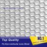 Buy cheap PLASTIC LENTICULAR high quality one sided dots 360 3d fly eye lens sheet dot lenticular sheet from wholesalers