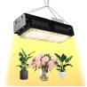 Buy cheap AC85V-265V Indoor Led Grow Lights For House Plants 50W from wholesalers