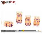 Shoes X Ray Airport Scanner , Security Scanning Equipment To Auto Mark Needle