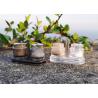 Buy cheap Time-saving, Flavorful and Travel-ready Disposable Plastic Shakers for Salt and Black Pepper Seasonings from wholesalers