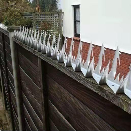 Buy cheap AISI 304 430 Fence Security Spikes For Walls Protect Construction from wholesalers