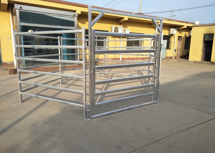 Corrosion Resistant Livestock Cattle , Cattle Corral Panels Easily Assembled