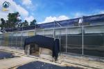 Commercial Herb Cultivation Polycarbonate Green House For Organic Vegetable