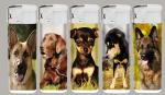US 20/Piece Samples Accepted Chinese Smoking Gas Cigarette Flint Lighter