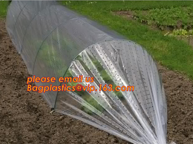 Panda Film for Blackout Greenhouse/Black-White Poly is UV-Stabilized Plastic Mushroom,0.1mm 0.12mm 0.15mm 0.18mm 0.2mm 0