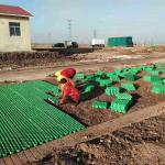 Tenglu HDPE Plastic Grass Paver Grid for Parking Lot and Driveway Free Spare