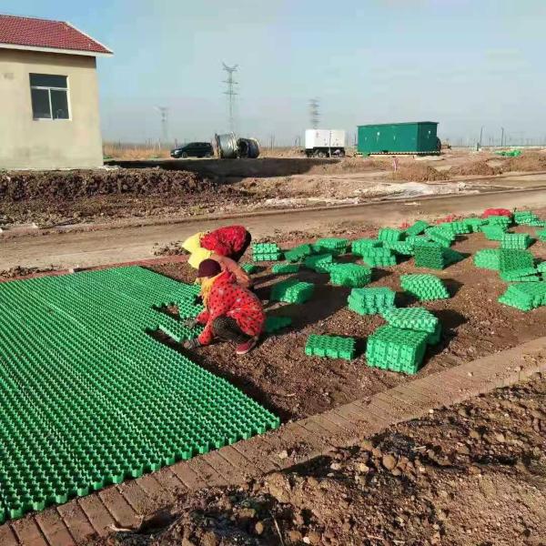 Buy cheap Parking Lot and Driveway HDPE Plastic Grass Grid Paver CE/ISO9001/ISO14001 Certified from wholesalers