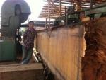 CNC Log Vertical Band Sawmill 1500mm Woodworking Saw Machine