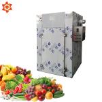 Powerful Automatic Food Processing Machines / High Capacity Food Dehydrator