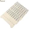 Buy cheap Plastic Queen Rearing Beekeeping Bee Grafting Pen Royal Jelly with 8 Teeth from wholesalers